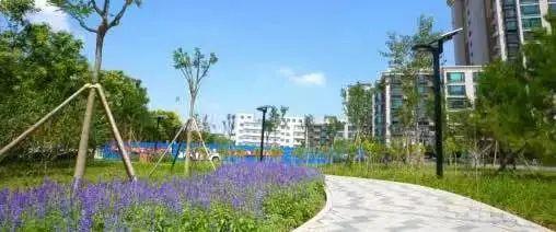 北京市内免费五个最好的公园（北京又添好多新公园）(83)