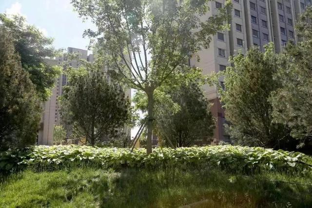 北京市内免费五个最好的公园（北京又添好多新公园）(87)