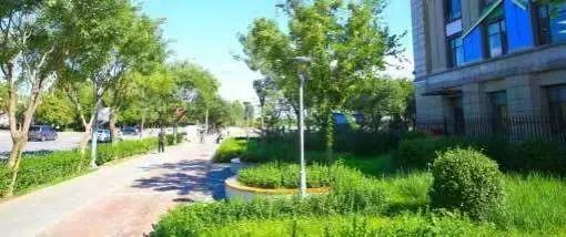 北京市内免费五个最好的公园（北京又添好多新公园）(84)