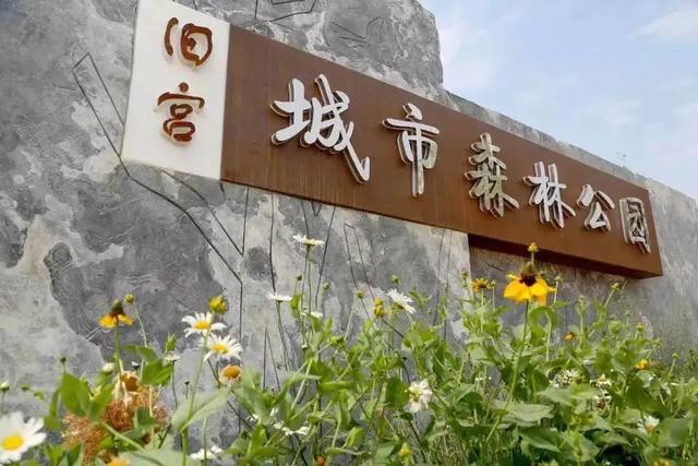 北京市内免费五个最好的公园（北京又添好多新公园）(76)