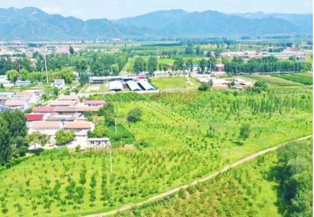 北京市内免费五个最好的公园（北京又添好多新公园）(72)