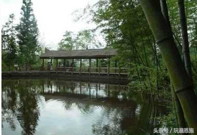 利川旅游必去的景点排名（最新最全旅游景点出炉）(44)