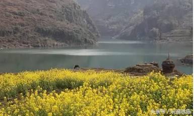 利川旅游必去的景点排名（最新最全旅游景点出炉）(69)