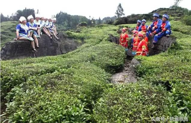 利川旅游必去的景点排名（最新最全旅游景点出炉）(134)