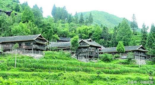 利川旅游必去的景点排名（最新最全旅游景点出炉）(50)