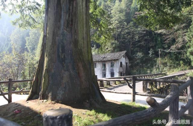 利川旅游必去的景点排名（最新最全旅游景点出炉）(66)