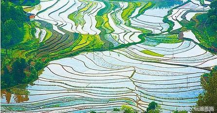 利川旅游必去的景点排名（最新最全旅游景点出炉）(122)