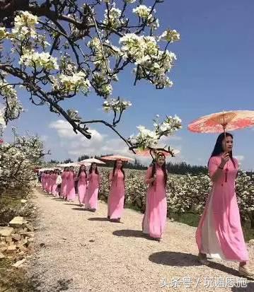 利川旅游必去的景点排名（最新最全旅游景点出炉）(24)
