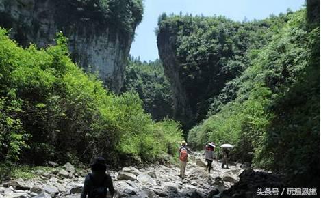利川旅游必去的景点排名（最新最全旅游景点出炉）(96)