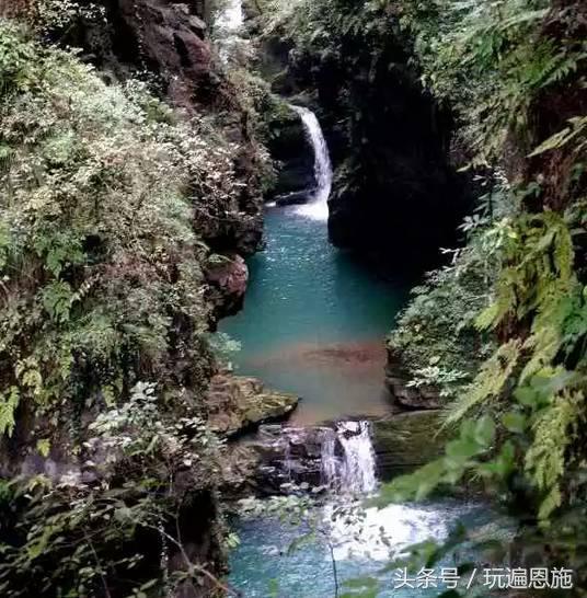 利川旅游必去的景点排名（最新最全旅游景点出炉）(72)