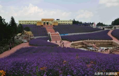 利川旅游必去的景点排名（最新最全旅游景点出炉）(120)