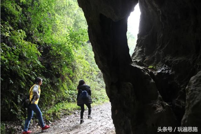 利川旅游必去的景点排名（最新最全旅游景点出炉）(67)
