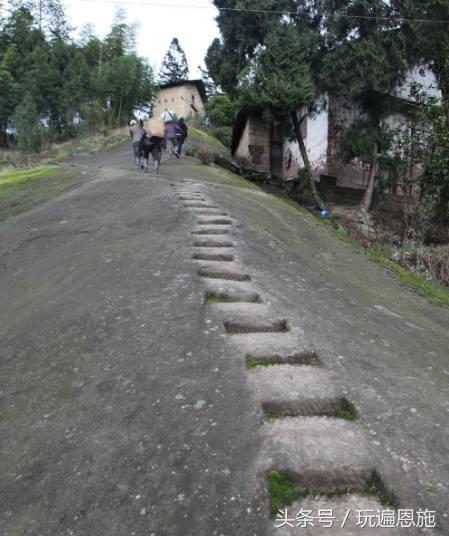 利川旅游必去的景点排名（最新最全旅游景点出炉）(82)