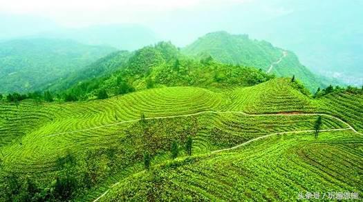 利川旅游必去的景点排名（最新最全旅游景点出炉）(68)