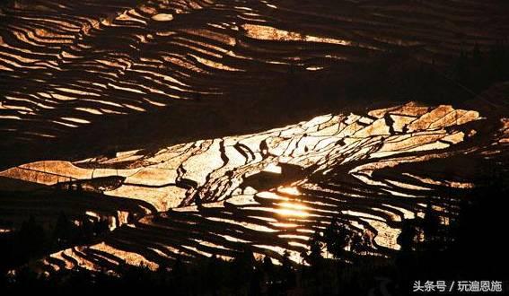 利川旅游必去的景点排名（最新最全旅游景点出炉）(76)