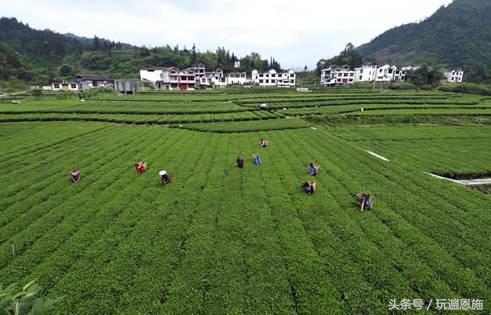 利川旅游必去的景点排名（最新最全旅游景点出炉）(128)