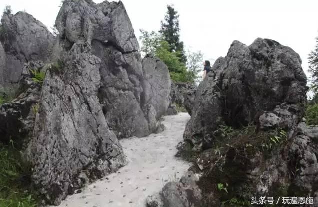 利川旅游必去的景点排名（最新最全旅游景点出炉）(18)