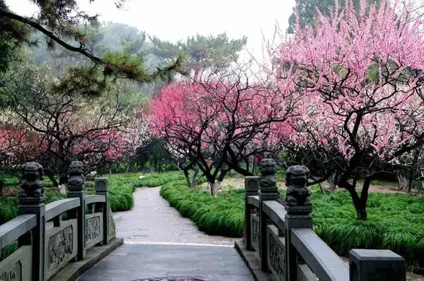 上海旅游必去景点推荐图文（上海本地100个游玩景点列表）(180)