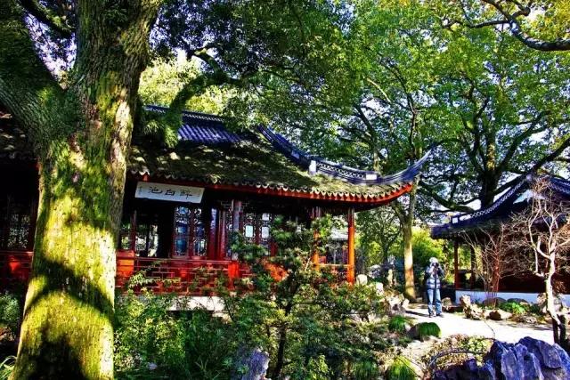 上海旅游必去景点推荐图文（上海本地100个游玩景点列表）(15)