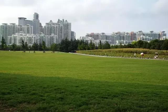上海旅游必去景点推荐图文（上海本地100个游玩景点列表）(156)