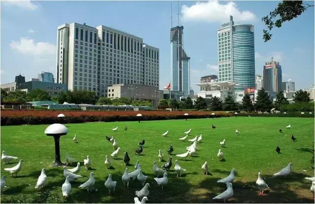 上海旅游必去景点推荐图文（上海本地100个游玩景点列表）(134)
