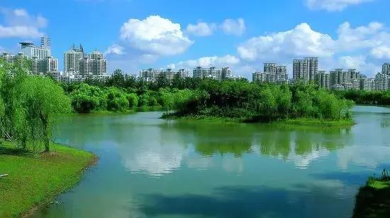 上海旅游必去景点推荐图文（上海本地100个游玩景点列表）(157)