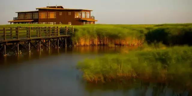 上海旅游必去景点推荐图文（上海本地100个游玩景点列表）(105)