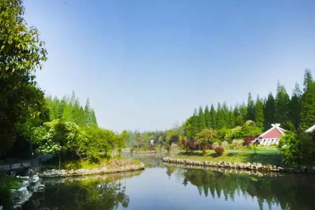 上海旅游必去景点推荐图文（上海本地100个游玩景点列表）(51)