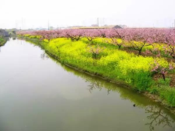 上海旅游必去景点推荐图文（上海本地100个游玩景点列表）(175)