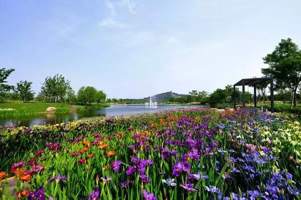 上海旅游必去景点推荐图文（上海本地100个游玩景点列表）(85)