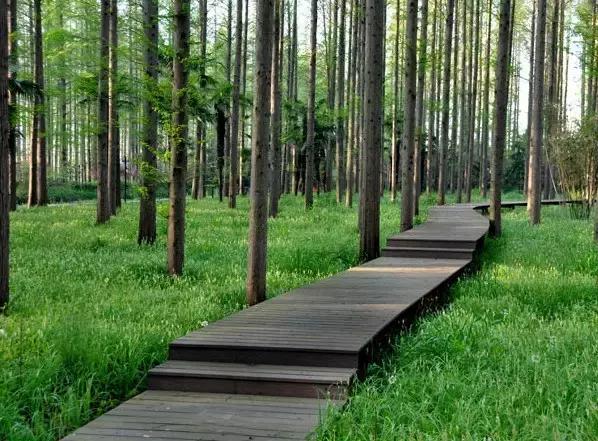 上海旅游必去景点推荐图文（上海本地100个游玩景点列表）(52)