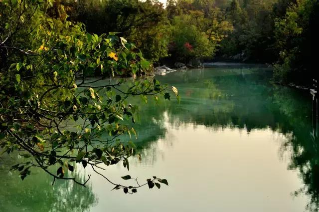 上海旅游必去景点推荐图文（上海本地100个游玩景点列表）(96)