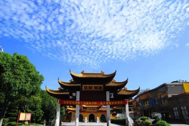 上海旅游必去景点推荐图文（上海本地100个游玩景点列表）(194)