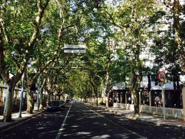 上海旅游必去景点推荐图文（上海本地100个游玩景点列表）(24)