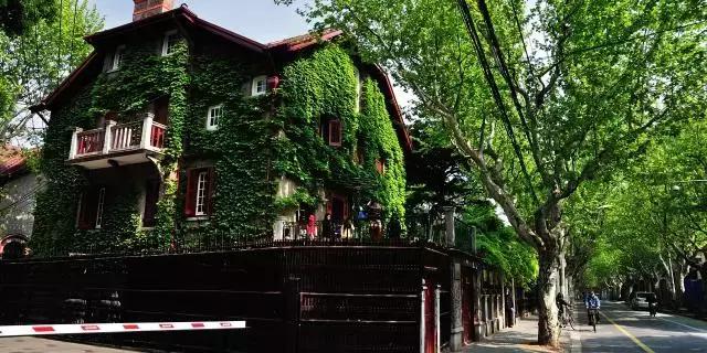 上海旅游必去景点推荐图文（上海本地100个游玩景点列表）(26)