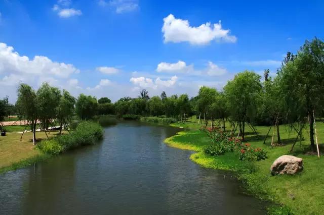 上海旅游必去景点推荐图文（上海本地100个游玩景点列表）(84)