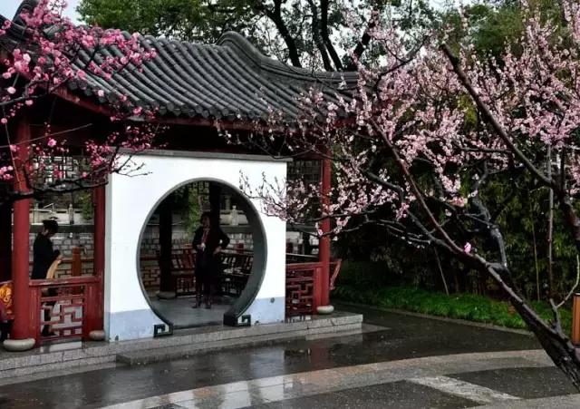 上海旅游必去景点推荐图文（上海本地100个游玩景点列表）(181)