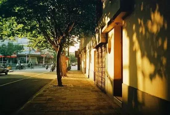 上海旅游必去景点推荐图文（上海本地100个游玩景点列表）(150)
