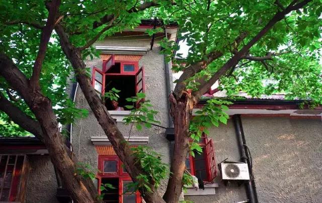 上海旅游必去景点推荐图文（上海本地100个游玩景点列表）(38)