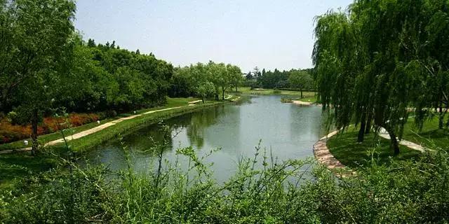 上海旅游必去景点推荐图文（上海本地100个游玩景点列表）(107)