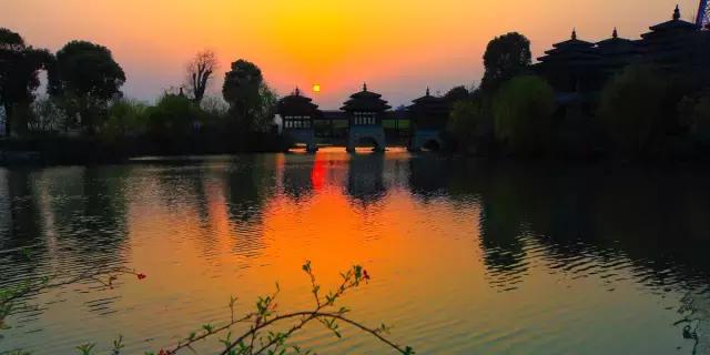 上海旅游必去景点推荐图文（上海本地100个游玩景点列表）(187)