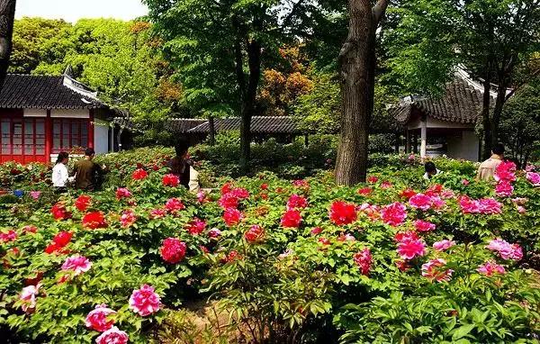 上海旅游必去景点推荐图文（上海本地100个游玩景点列表）(111)