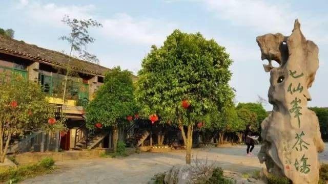 阳朔旅游攻略最新（推荐阳朔最全旅游攻略来袭）(20)