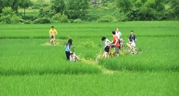 阳朔旅游攻略最新（推荐阳朔最全旅游攻略来袭）(46)