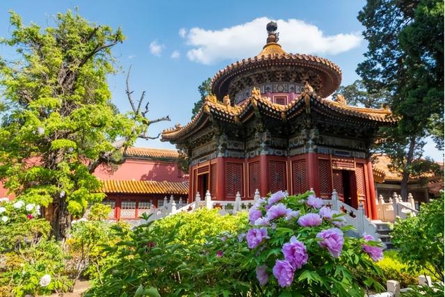 北京旅游七日游详细攻略（带你深度游玩北京故宫）(75)