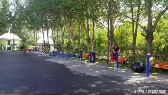哈尔滨旅游一日游景点推荐（哈尔滨人周末出游小攻略）(3)
