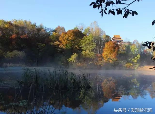 哈尔滨旅游一日游景点推荐（哈尔滨人周末出游小攻略）(15)