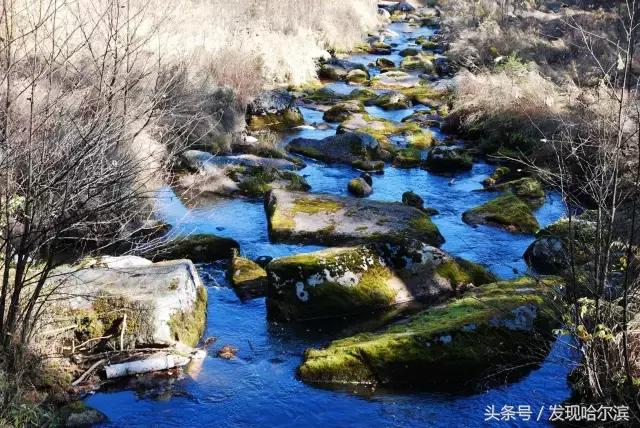 哈尔滨旅游一日游景点推荐（哈尔滨人周末出游小攻略）(63)