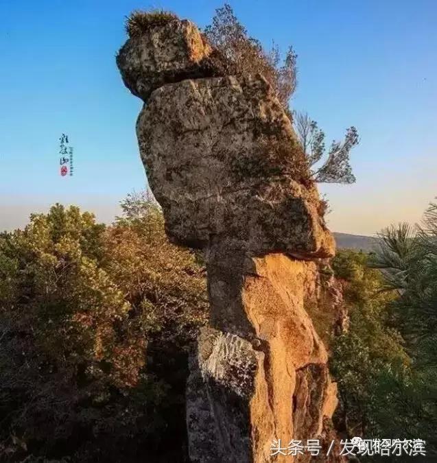 哈尔滨旅游一日游景点推荐（哈尔滨人周末出游小攻略）(19)