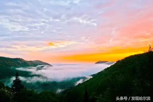 哈尔滨旅游一日游景点推荐（哈尔滨人周末出游小攻略）(53)